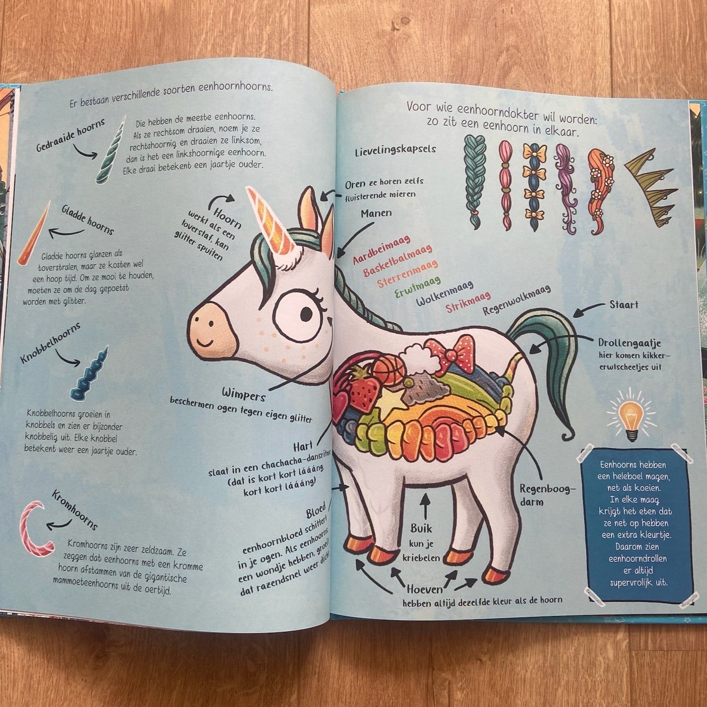Boek 101 Eenhoorns