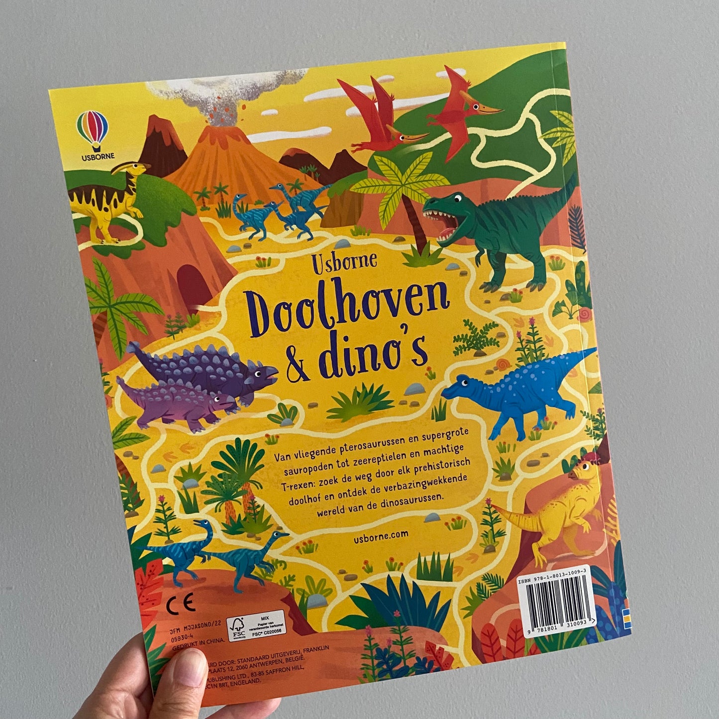 Usborne doolhoven & dino’s