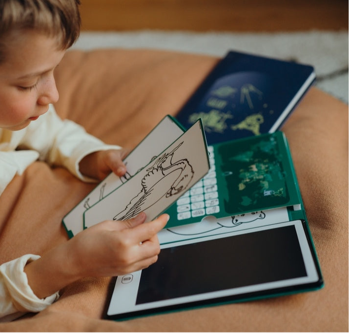 Kidywolf kidydraw mini dieren van de wereld