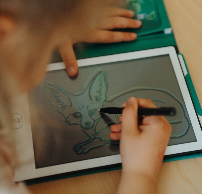 Kidywolf kidydraw mini dieren van de wereld