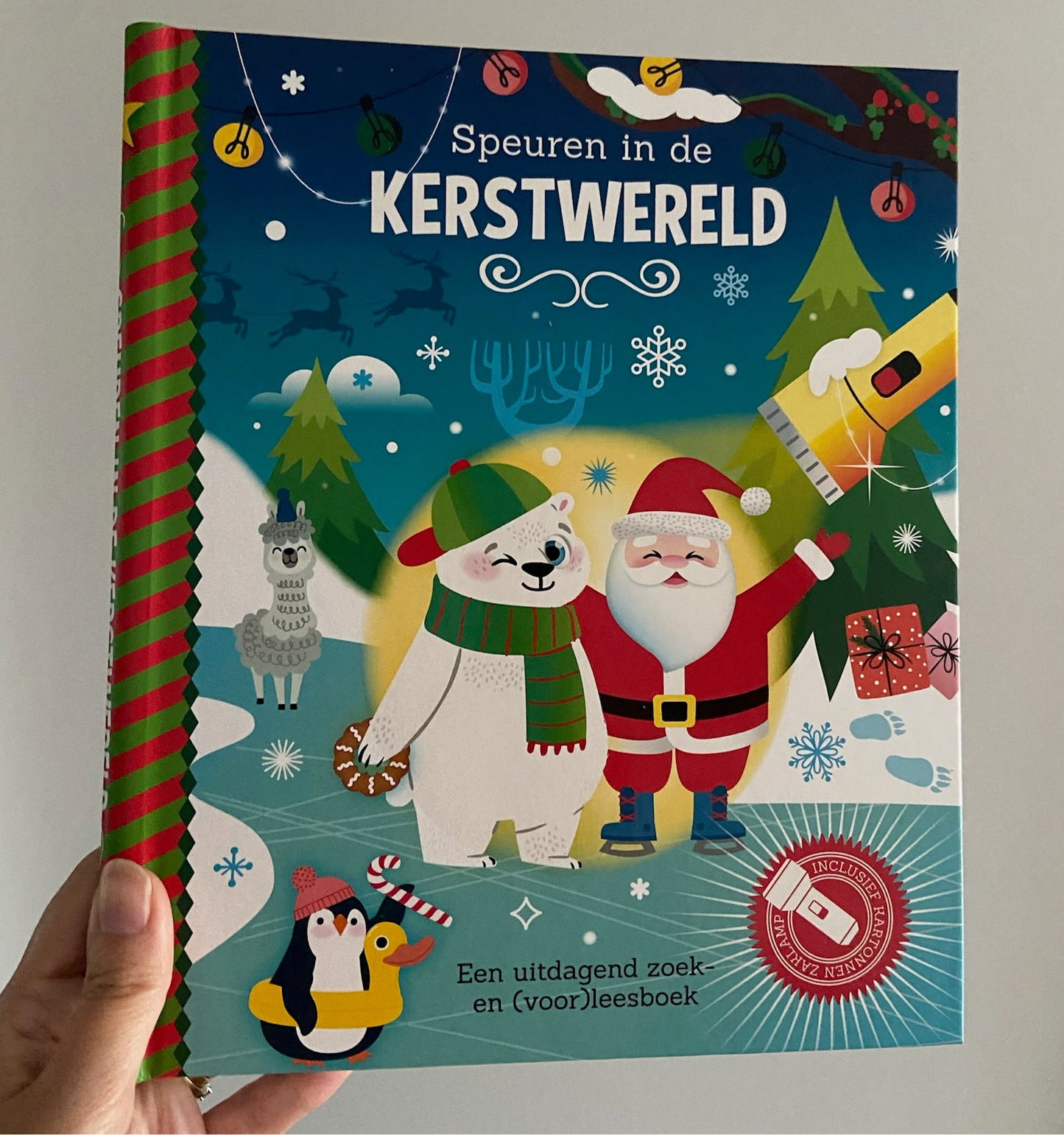 Zaklampboek Speuren in de kerstwereld