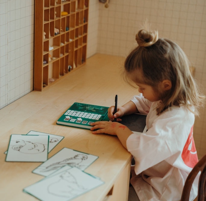 Kidywolf kidydraw mini dieren van de wereld