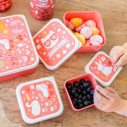 A Little Lovely Company Snackbox Set Fun